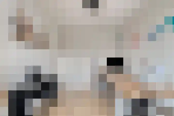 Godefriduslaan 21 Heerde thumbnail 20