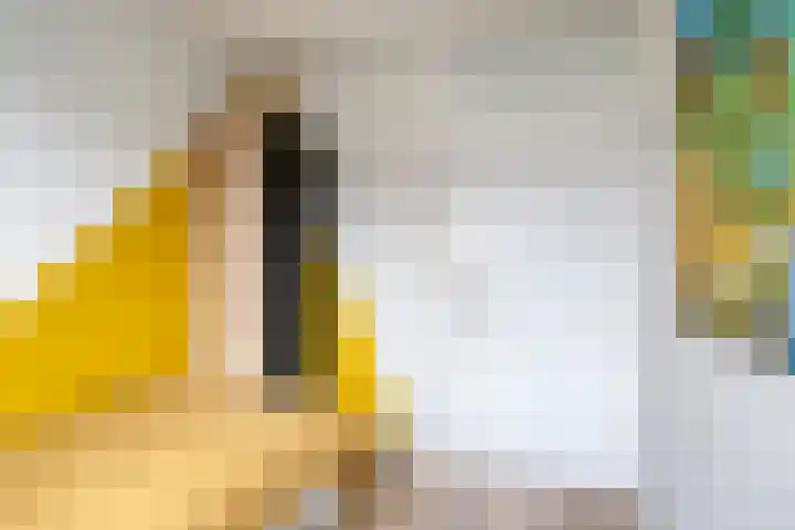 Godefriduslaan 21 Heerde thumbnail 22