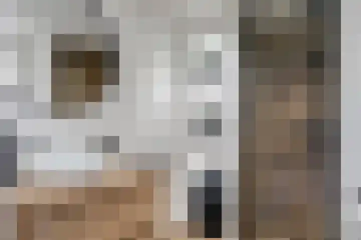 Godefriduslaan 21 Heerde thumbnail 23