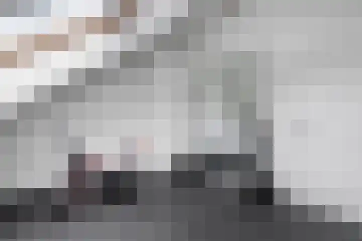 Godefriduslaan 21 Heerde thumbnail 32