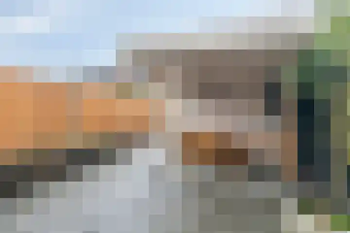 Godefriduslaan 21 Heerde thumbnail 34