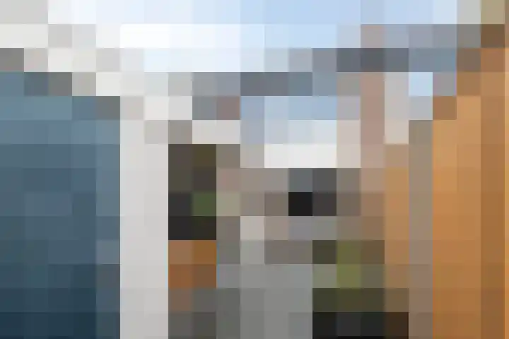 Godefriduslaan 21 Heerde thumbnail 36