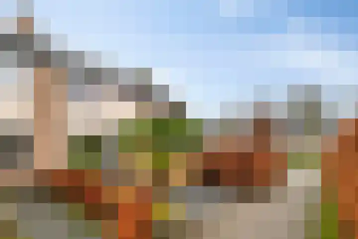 Godefriduslaan 21 Heerde thumbnail 39