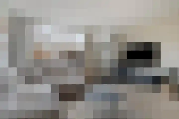 Godefriduslaan 21 Heerde thumbnail 4
