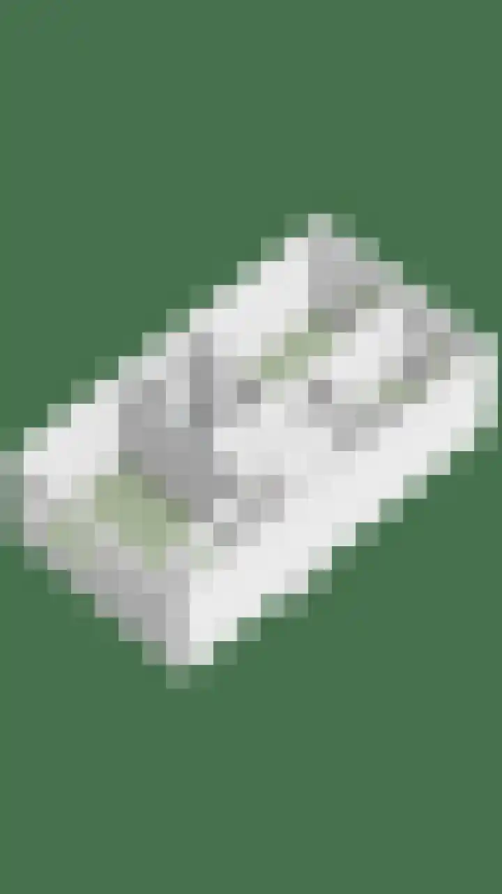 Godefriduslaan 21 Heerde thumbnail 47