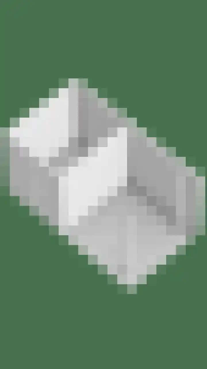Godefriduslaan 21 Heerde thumbnail 48