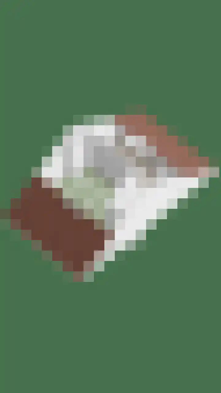 Godefriduslaan 21 Heerde thumbnail 49