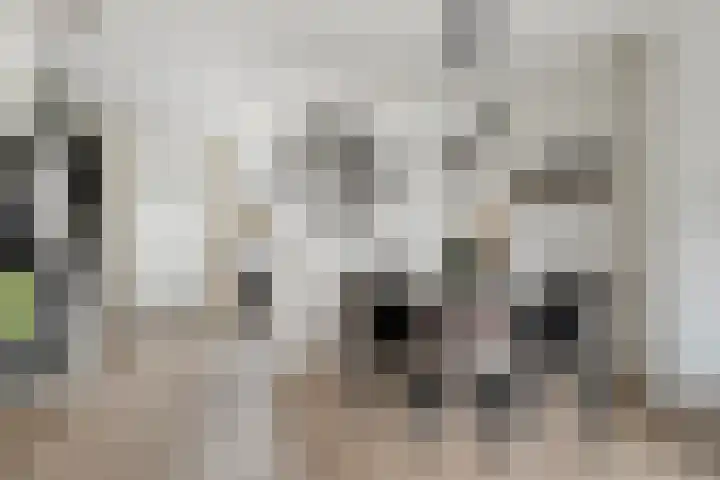 Godefriduslaan 21 Heerde thumbnail 6