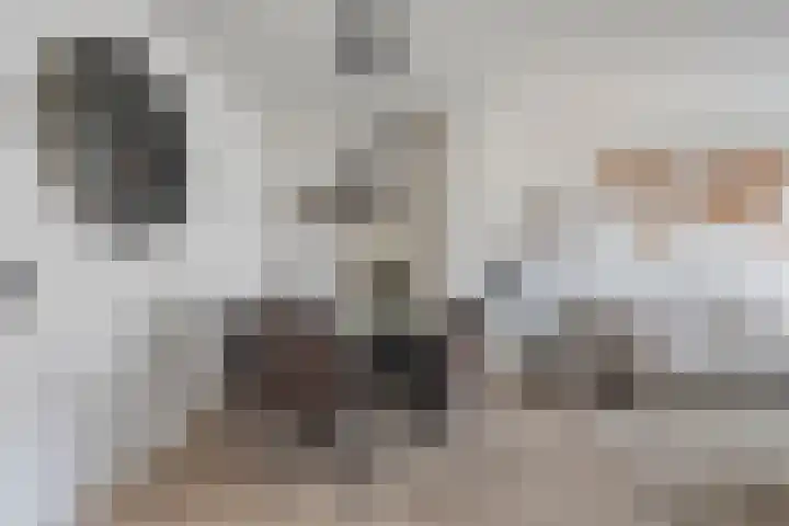 Godefriduslaan 21 Heerde thumbnail 7
