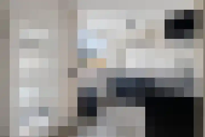 Godefriduslaan 21 Heerde thumbnail 8