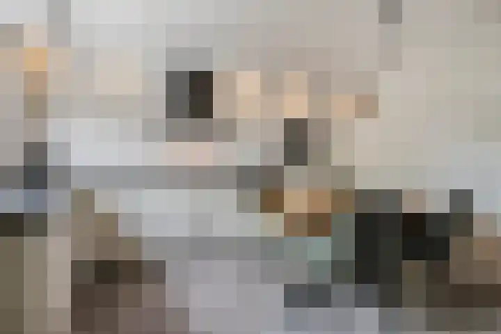 Godefriduslaan 25 Heerde thumbnail 11