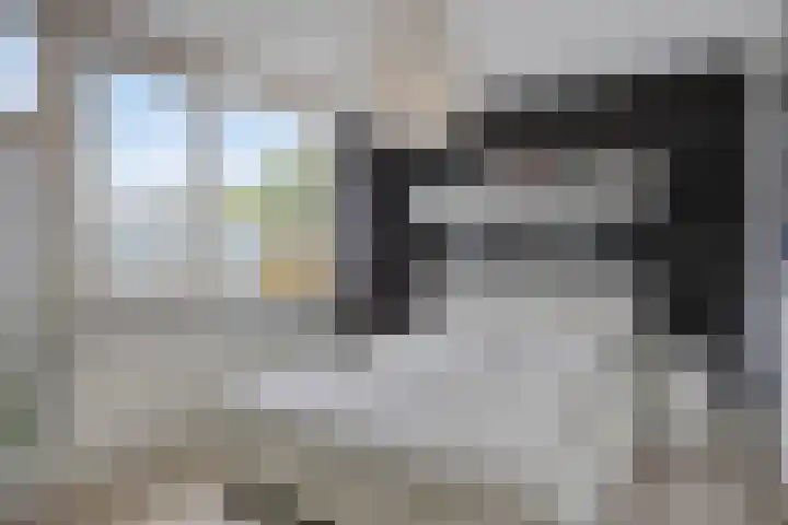 Godefriduslaan 25 Heerde thumbnail 13