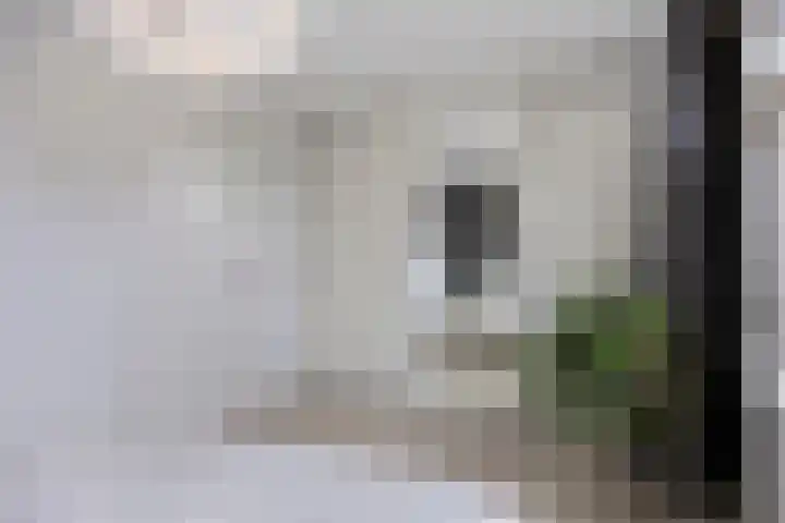 Godefriduslaan 25 Heerde thumbnail 14