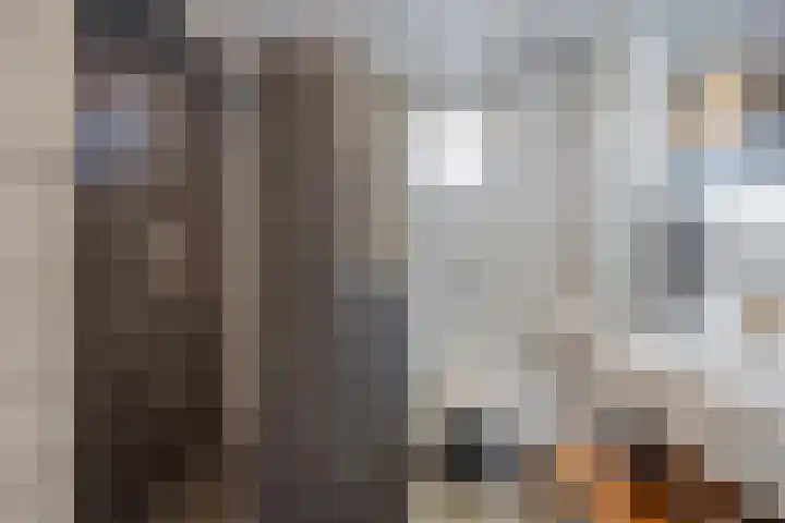Godefriduslaan 25 Heerde thumbnail 17