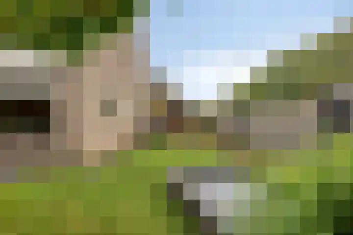 Godefriduslaan 25 Heerde thumbnail 25