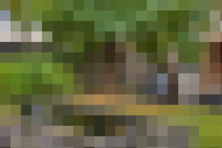 Godefriduslaan 25 Heerde thumbnail 27