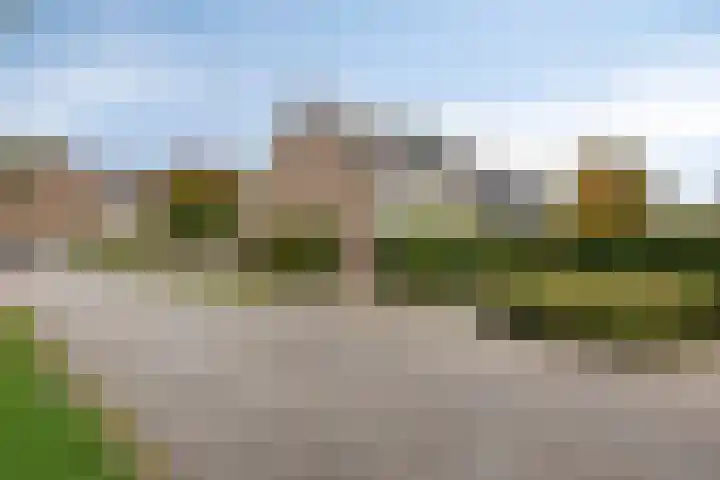 Godefriduslaan 25 Heerde thumbnail 28