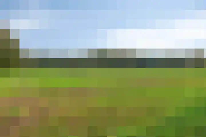 Godefriduslaan 25 Heerde thumbnail 30