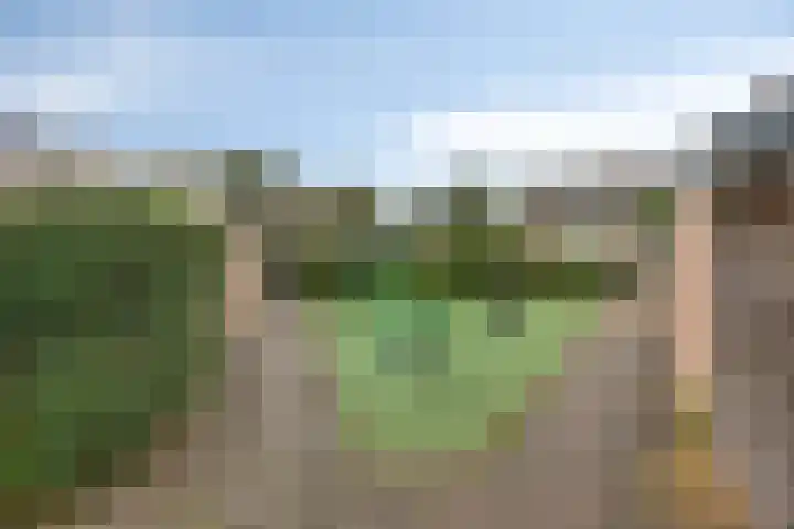Godefriduslaan 25 Heerde thumbnail 31