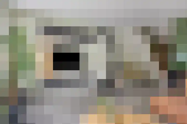 Godefriduslaan 25 Heerde thumbnail 8