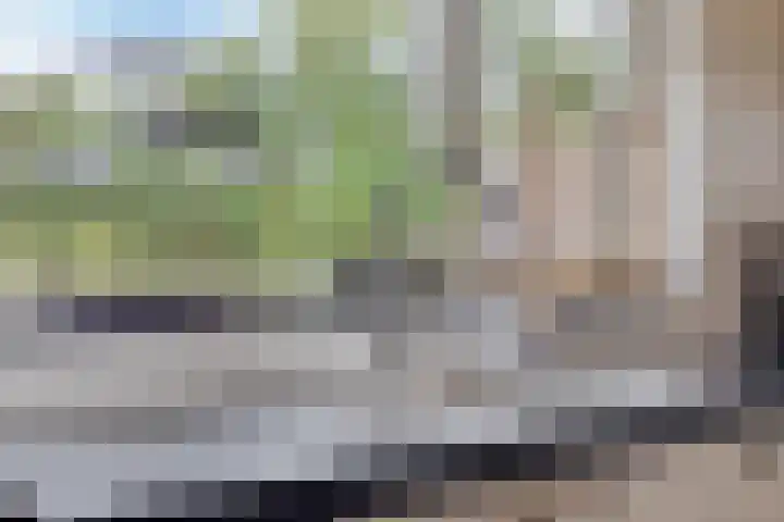 Godefriduslaan 25 Heerde thumbnail 9