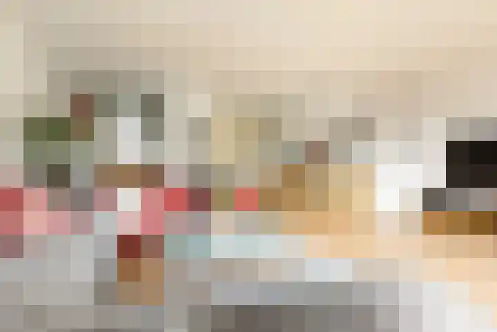 Godekenheerd 12 Groningen thumbnail 13