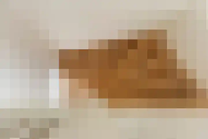 Godekenheerd 12 Groningen thumbnail 21