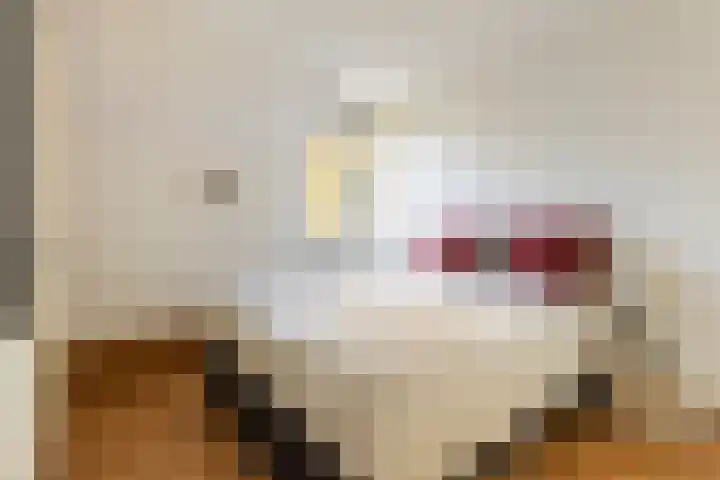 Godekenheerd 12 Groningen thumbnail 25