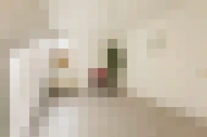 Godekenheerd 12 Groningen thumbnail 26