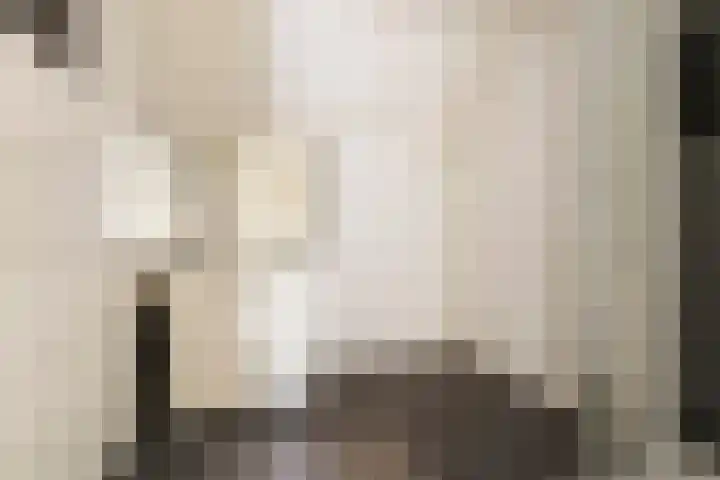Godekenheerd 12 Groningen thumbnail 28