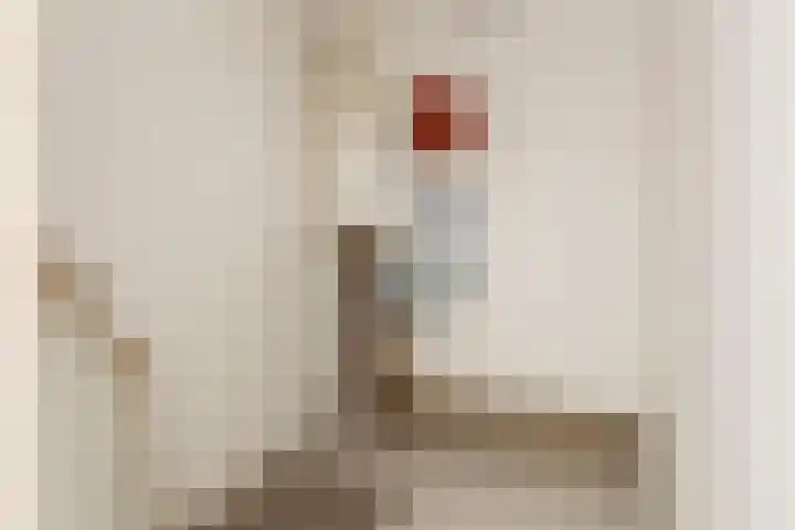 Godekenheerd 12 Groningen thumbnail 30