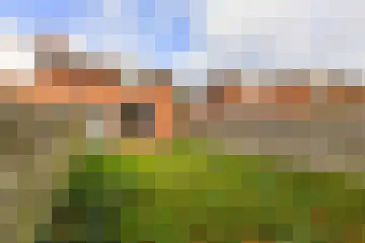 Godekenheerd 12 Groningen thumbnail 32