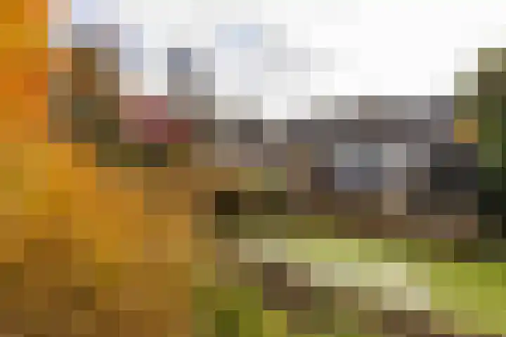 Godekenheerd 12 Groningen thumbnail 33
