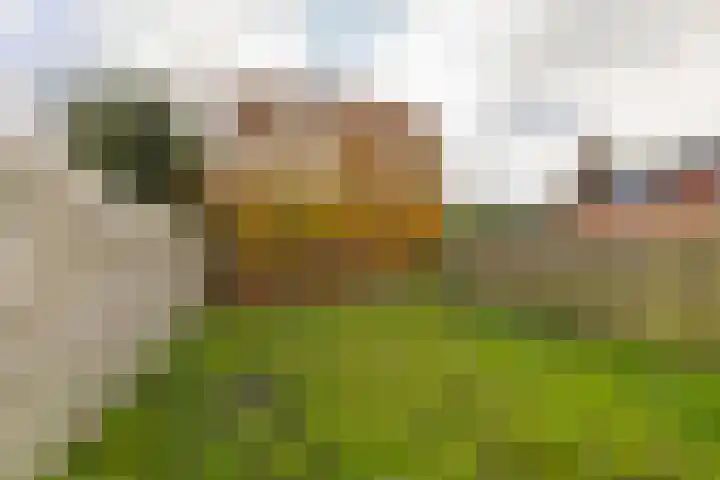 Godekenheerd 12 Groningen thumbnail 34