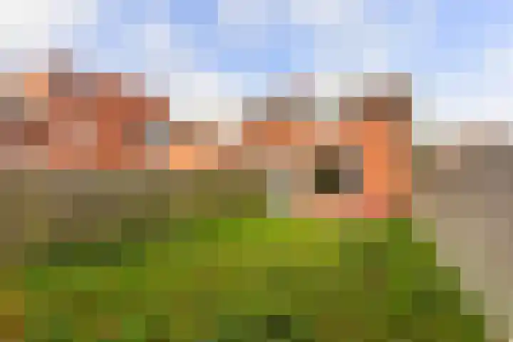 Godekenheerd 12 Groningen thumbnail 35