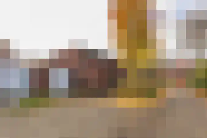 Godekenheerd 12 Groningen thumbnail 39