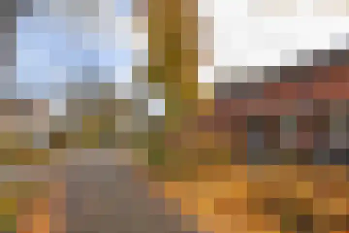 Godekenheerd 12 Groningen thumbnail 40