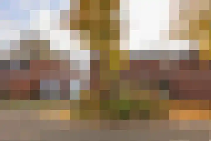 Godekenheerd 12 Groningen thumbnail 41