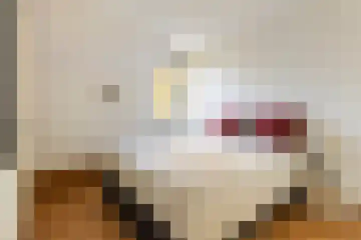 Godekenheerd 12 Groningen thumbnail 5