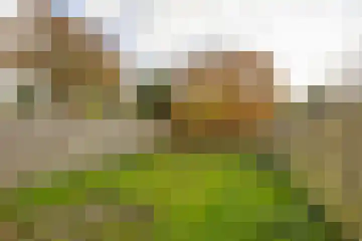Godekenheerd 12 Groningen thumbnail 6
