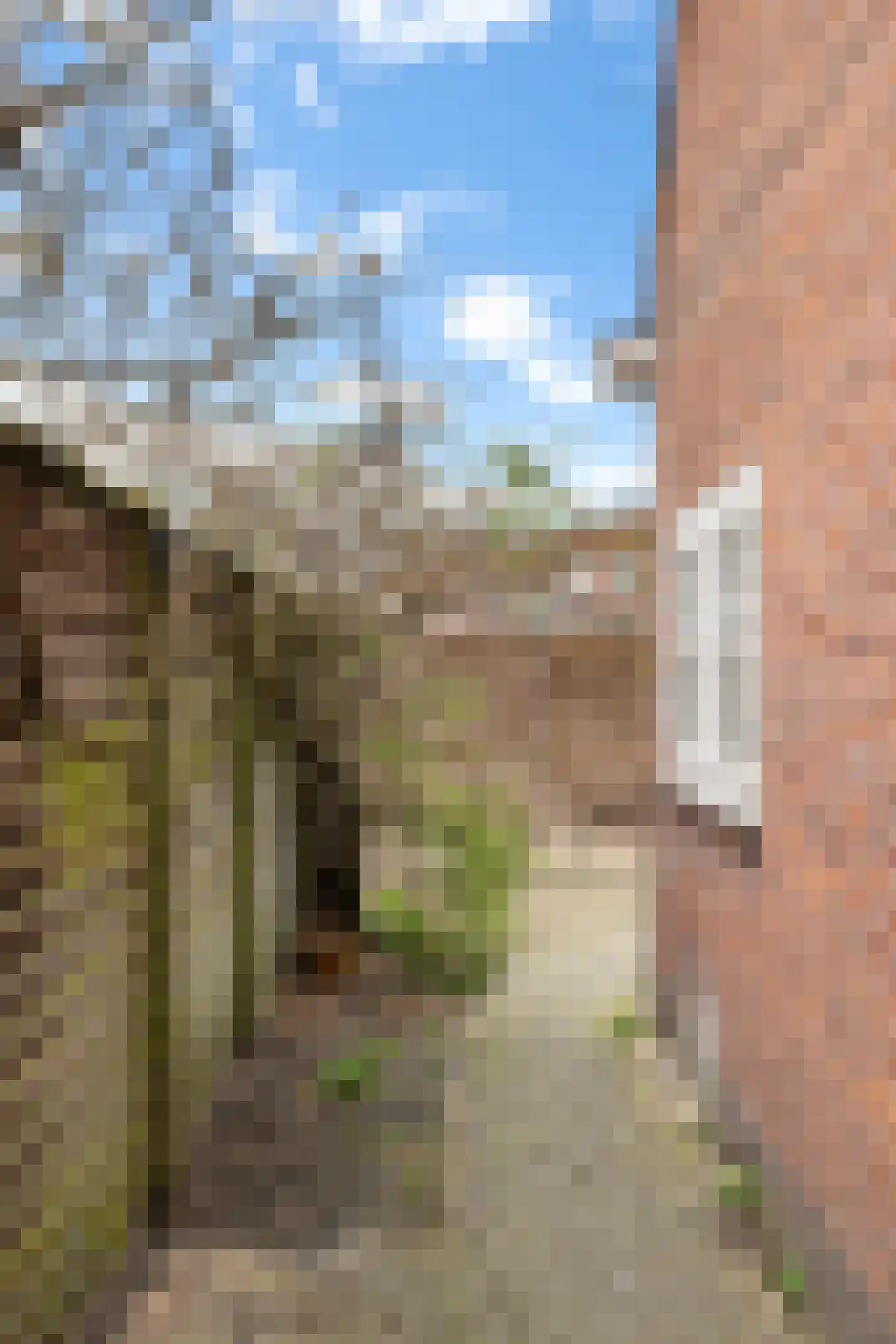 Godelindestraat 30 Bussum thumbnail 33