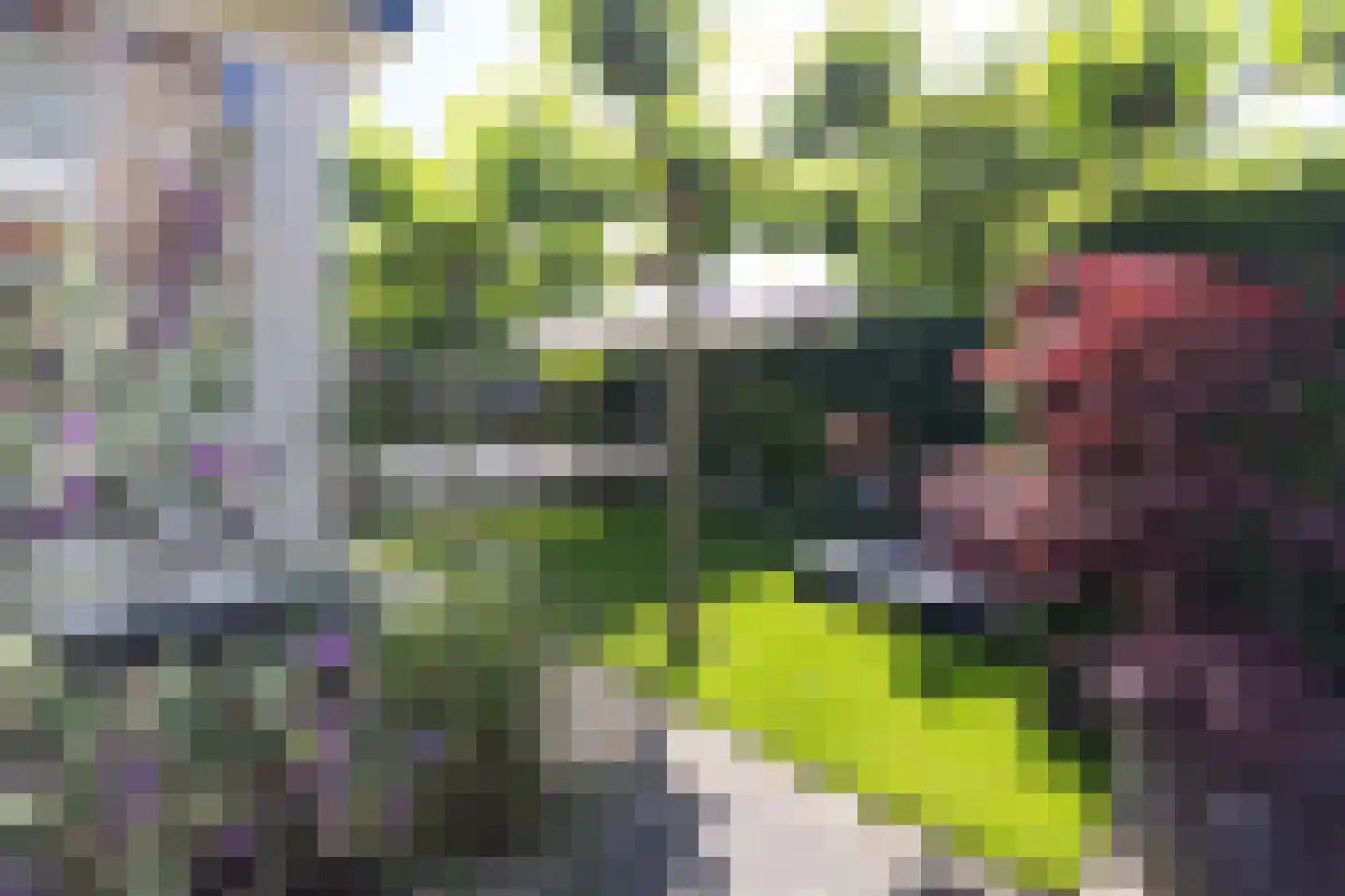 Godelindestraat 67 Bussum thumbnail 47