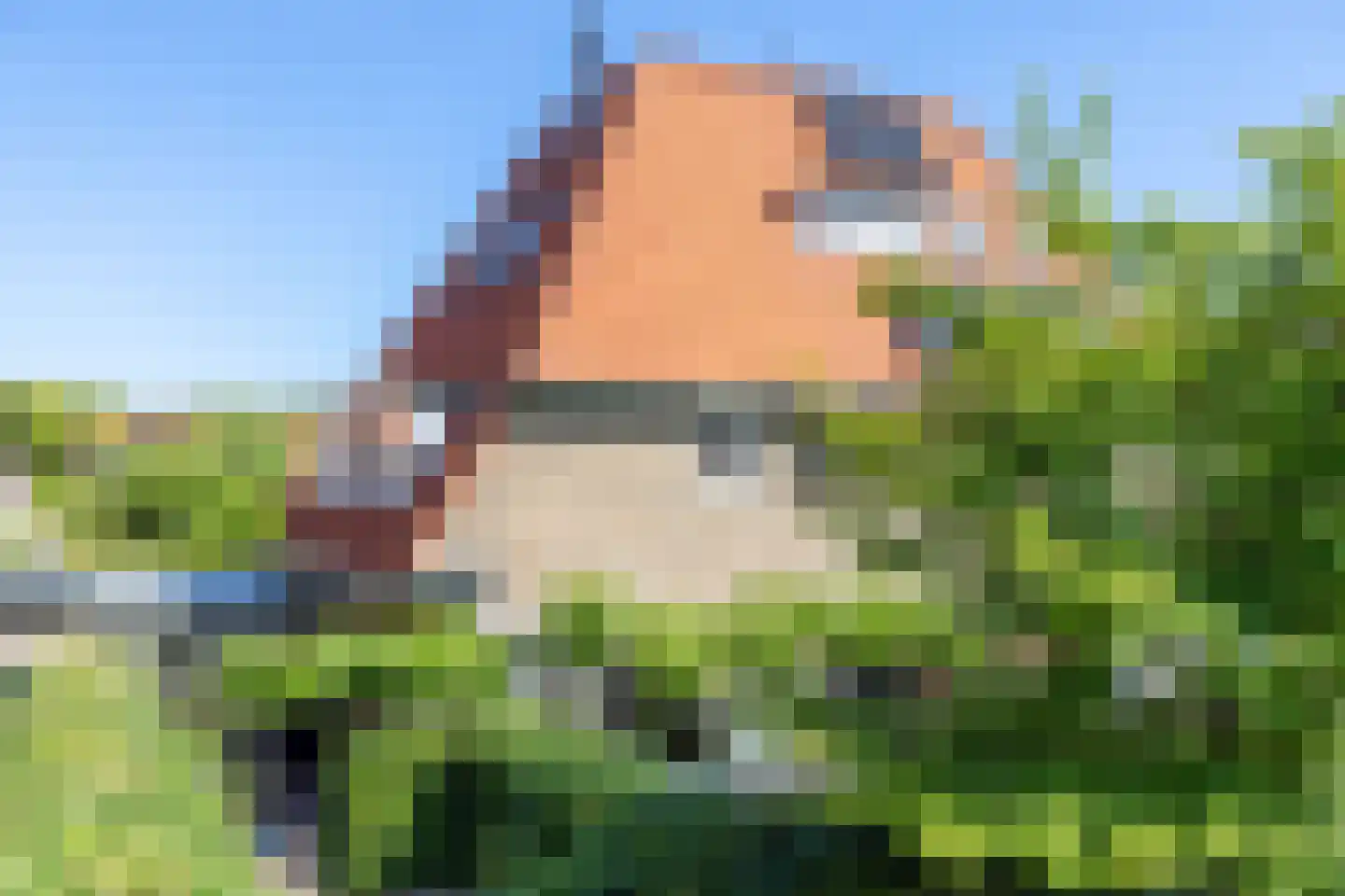 Godelindestraat 67 Bussum thumbnail 50