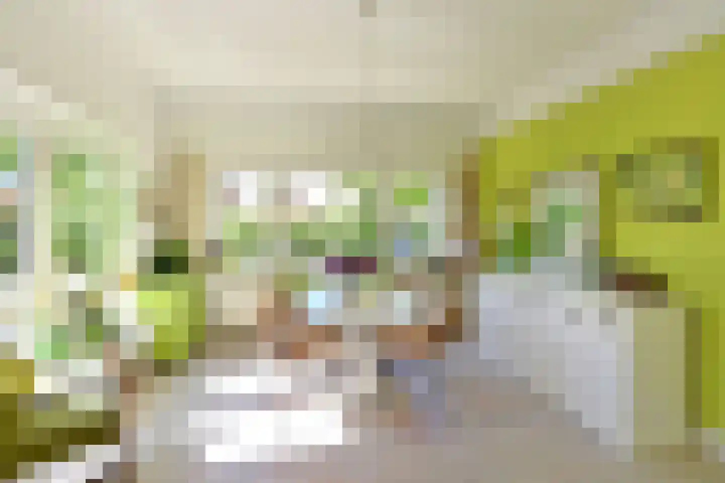 Godelindestraat 68 Bussum thumbnail 11