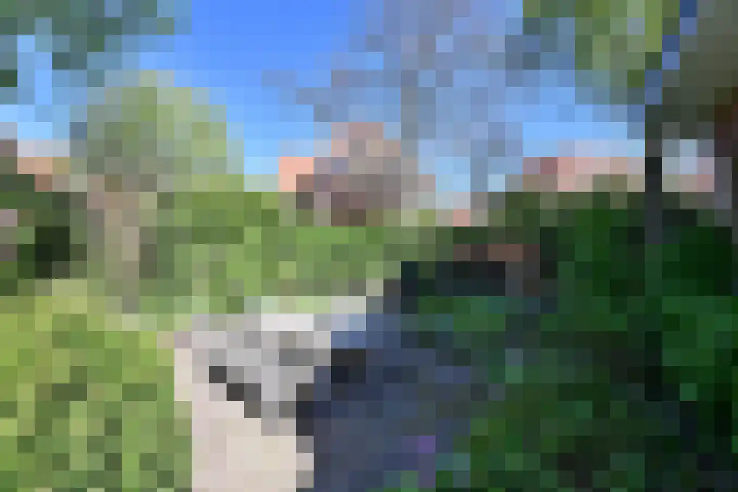 Godelindestraat 68 Bussum thumbnail 5