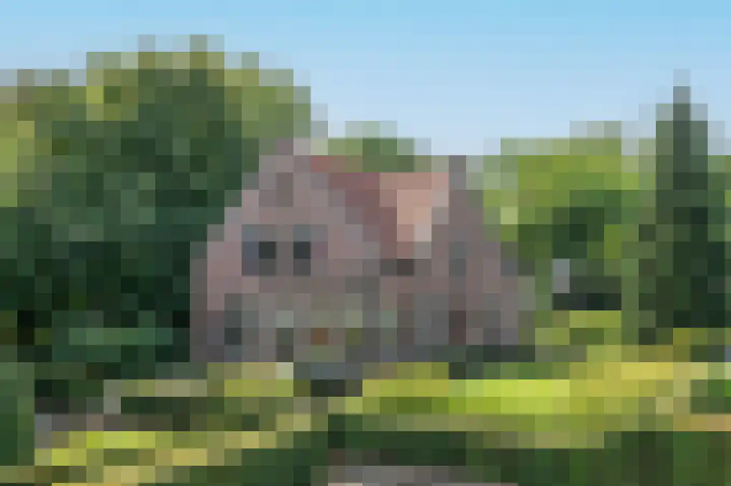Godelindeweg 17 Hilversum thumbnail 59