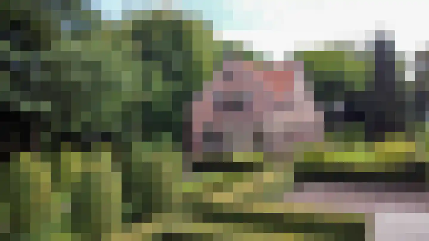 Godelindeweg 17 Hilversum thumbnail 6