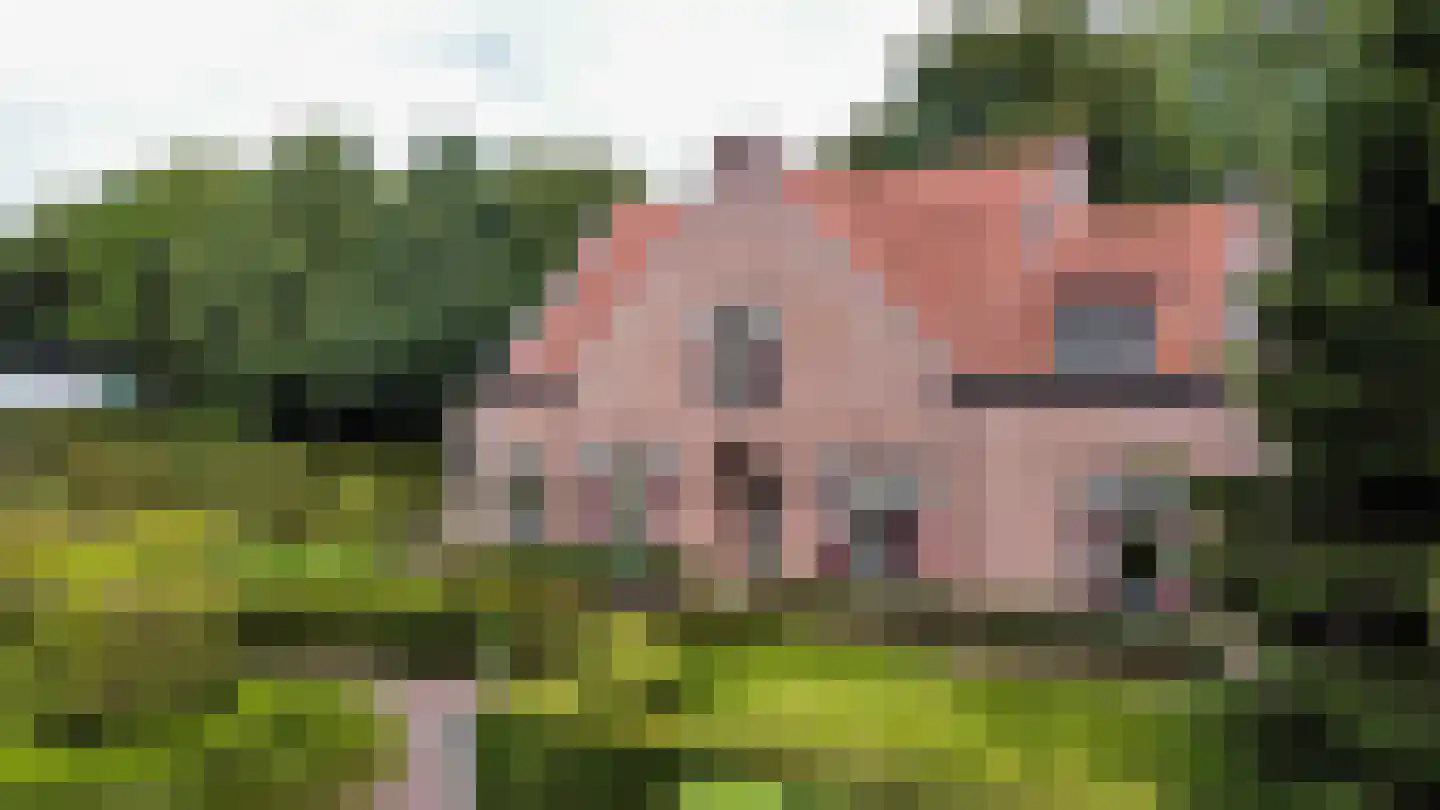 Godelindeweg 17 Hilversum thumbnail 7