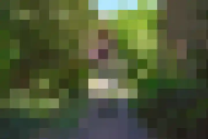 Godelindeweg 18 Naarden thumbnail 23