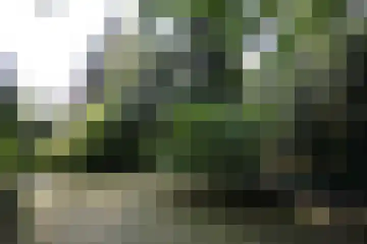 Godelindeweg 18 Naarden thumbnail 26